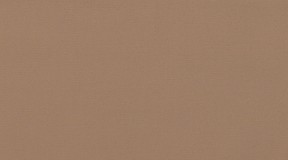 97%棉、3%氨纶；300g；(885409)