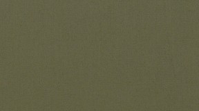 97%棉、3%氨纶；300g；(885407)