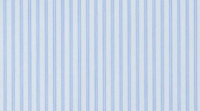 100%纯棉；93g ；(F355203-000013)