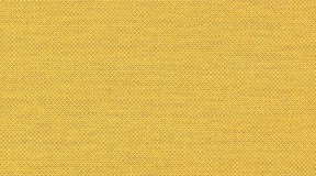 100%纯棉；131g ；(F358384-000062)